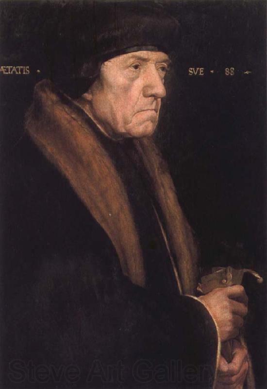 Hans holbein the younger Dr Fohn Chambers